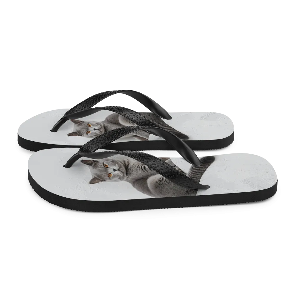 Relaxing British Shorthair Cat Flip Flops
