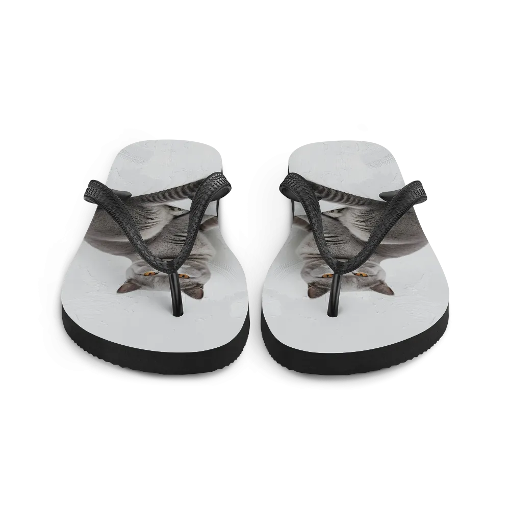 Relaxing British Shorthair Cat Flip Flops